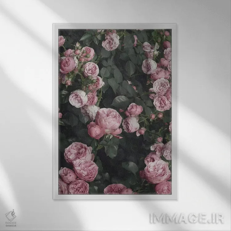 تابلو دکوراتیو بوته گل رز صورتی اثر سیسی و سب - نمای قابدار سفید