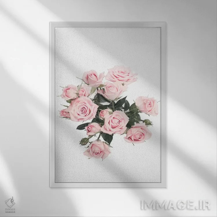 تابلو دکوراتیو رزهای صورتی اثر سیسی و سب - نمای قابدار سفید