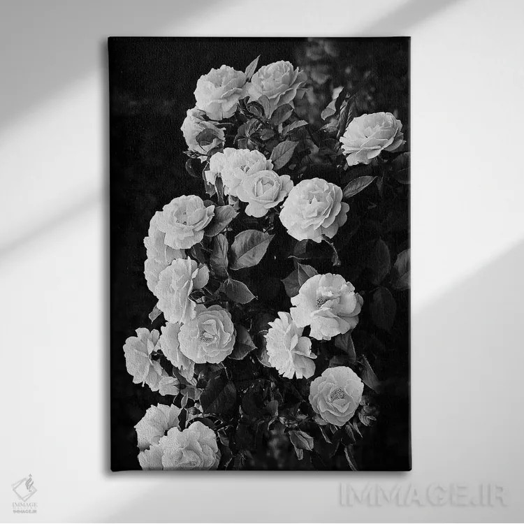 تابلو دکوراتیو بوته گل رز اثر سیسی و سب - نمای روبهرو روی دیوار