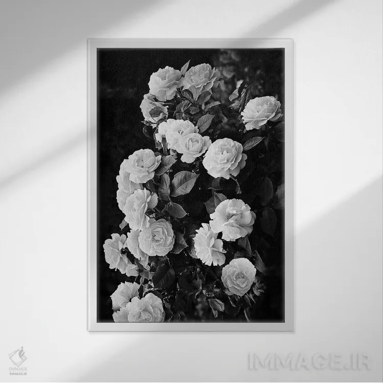 تابلو دکوراتیو بوته گل رز اثر سیسی و سب - نمای قابدار سفید