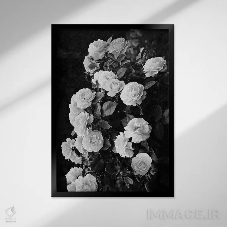 تابلو دکوراتیو بوته گل رز اثر سیسی و سب - نمای قابدار مشکی