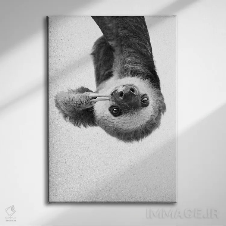تابلو دکوراتیو تنبل اثر سیسی و سب - نمای روبهرو روی دیوار