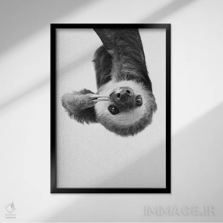 تابلو دکوراتیو تنبل اثر سیسی و سب - نمای قابدار مشکی