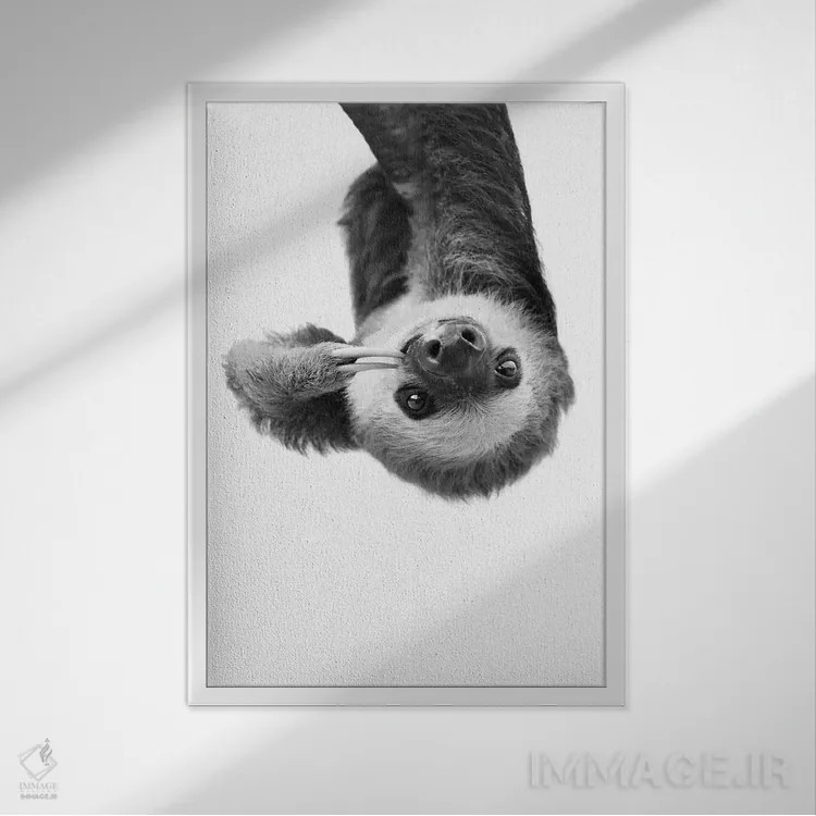 تابلو دکوراتیو تنبل اثر سیسی و سب - نمای قابدار سفید