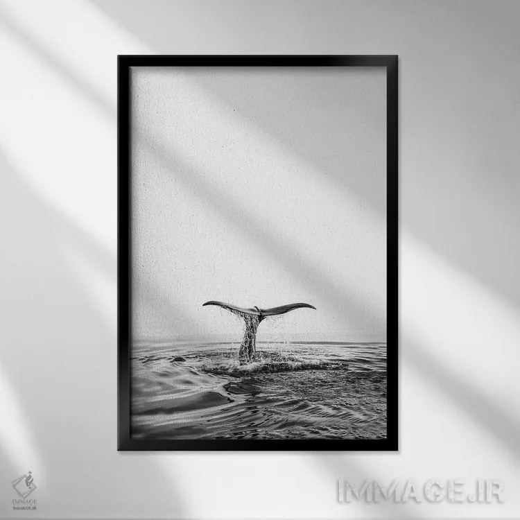 تابلو مینیمال دم نهنگ اثر سیسی و سب - نمای قابدار مشکی