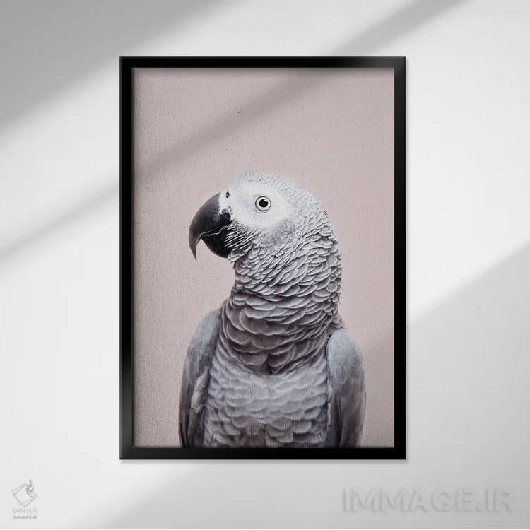 تابلو دکوراتیو آفریقایی خاکستری اثر سیسی و سب - نمای قابدار مشکی