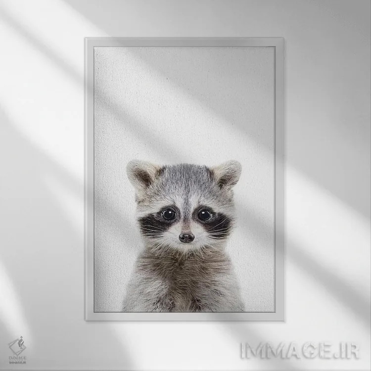 تابلو دکوراتیو راکون بچه اثر سیسی و سب - نمای قابدار سفید