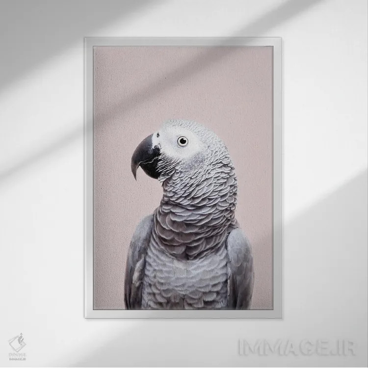 تابلو دکوراتیو آفریقایی خاکستری اثر سیسی و سب - نمای قابدار سفید
