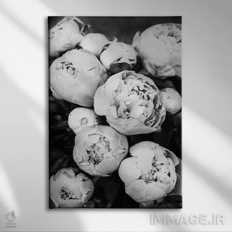 تابلو دکوراتیو پیونی ها II اثر سیسی و سب - نمای روبهرو روی دیوار