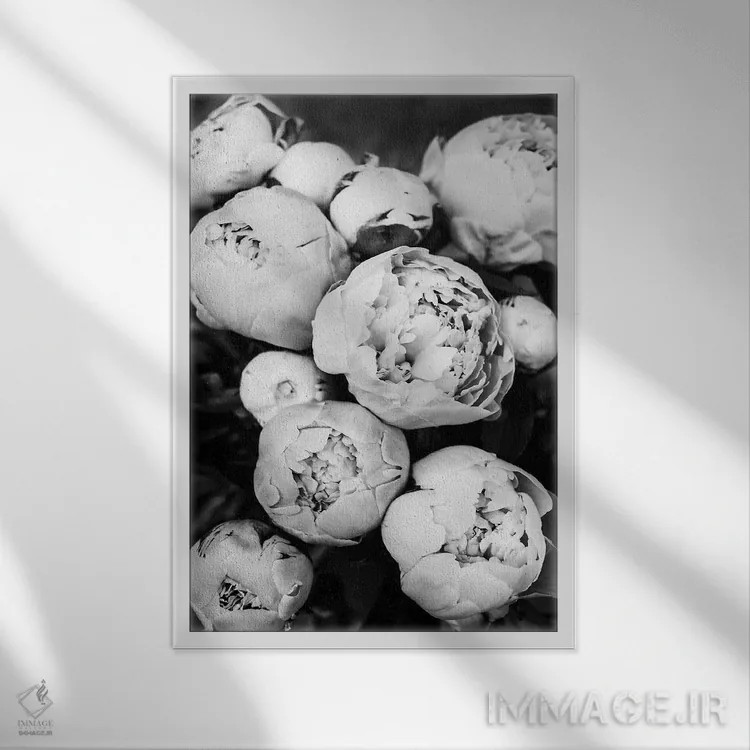 تابلو دکوراتیو پیونی ها II اثر سیسی و سب - نمای قابدار سفید