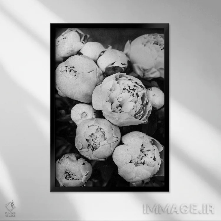 تابلو دکوراتیو پیونی ها II اثر سیسی و سب - نمای قابدار مشکی