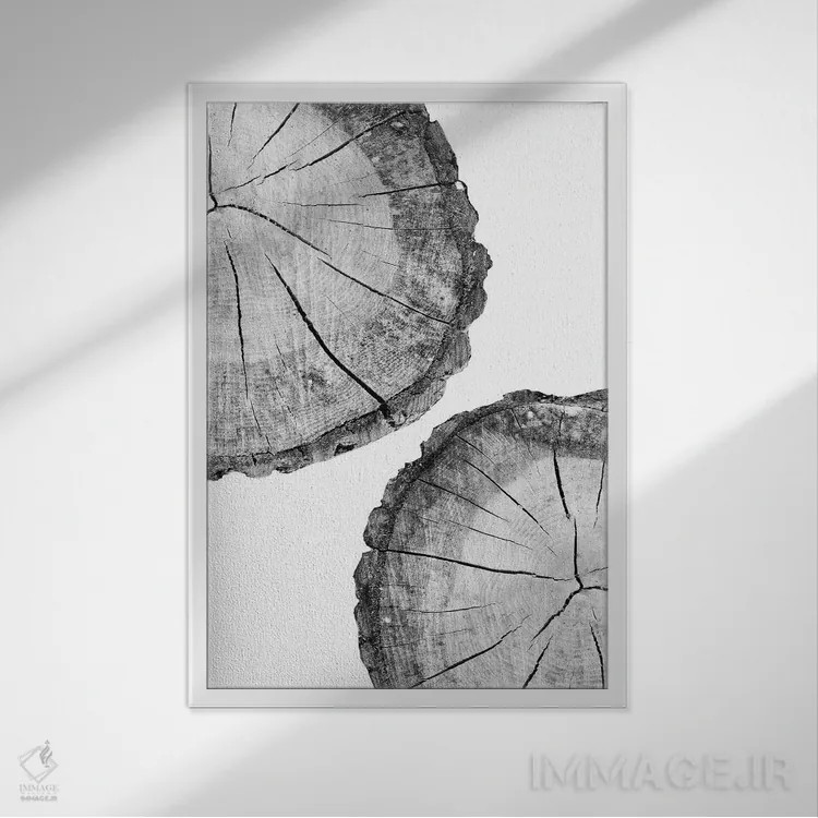تابلو مینیمال برش چوب اثر سیسی و سب - نمای قابدار سفید