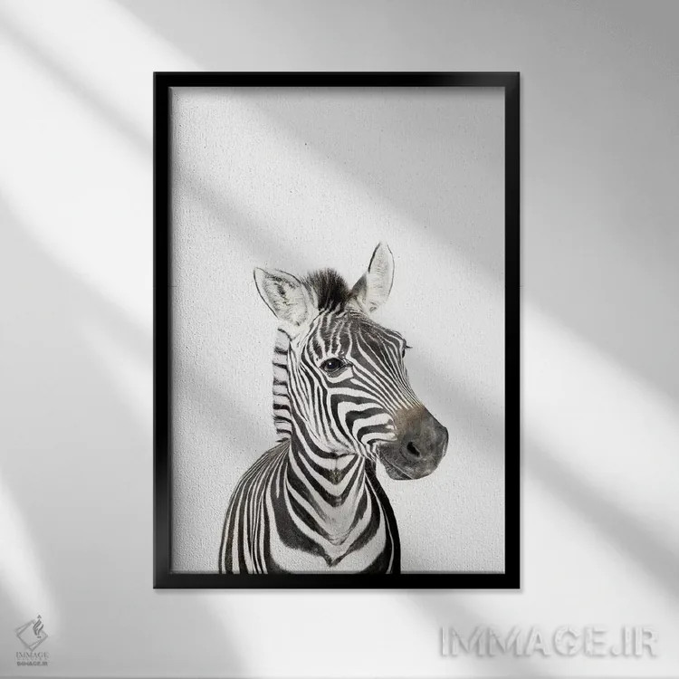 تابلو دکوراتیو گورخر بچه اثر سیسی و سب - نمای قابدار مشکی