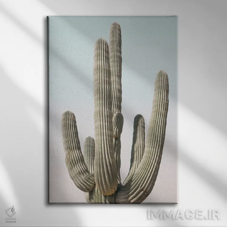 تابلو دکوراتیو آسمان پاستلی ساگوارو اثر سیسی و سب - نمای روبهرو روی دیوار