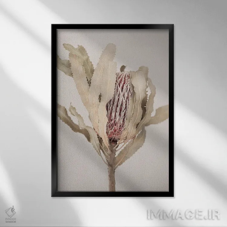 تابلو دکوراتیو بانکسیا اثر سیسی و سب - نمای قابدار مشکی