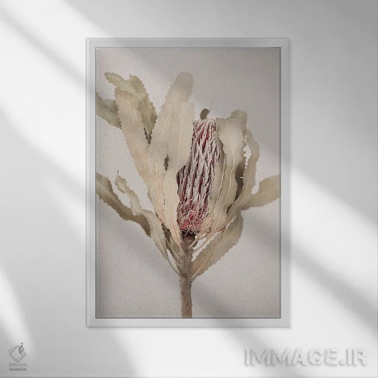 تابلو دکوراتیو بانکسیا اثر سیسی و سب - نمای قابدار سفید