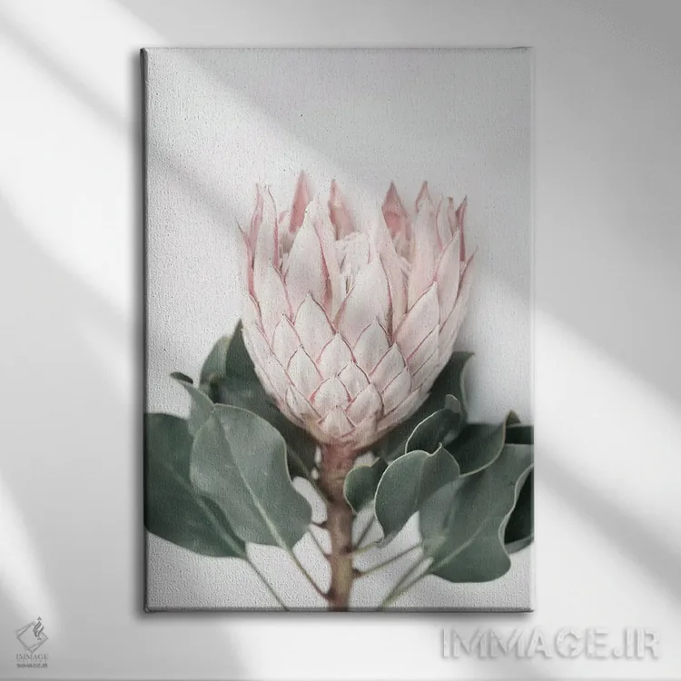 تابلو دکوراتیو پروتئای صورتی اثر سیسی و سب - نمای روبهرو روی دیوار