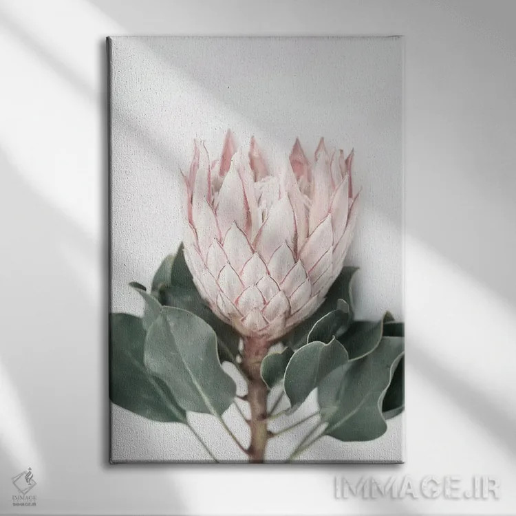 تابلو دکوراتیو پروتئای صورتی اثر سیسی و سب - نمای روبهرو روی دیوار