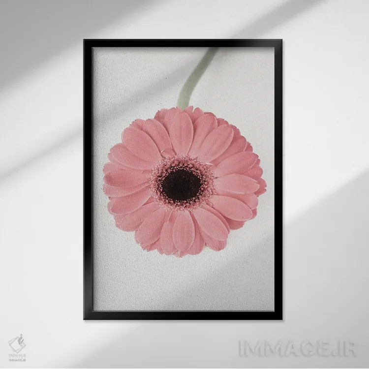 تابلو دکوراتیو گل II اثر سیسی و سب - نمای قابدار مشکی