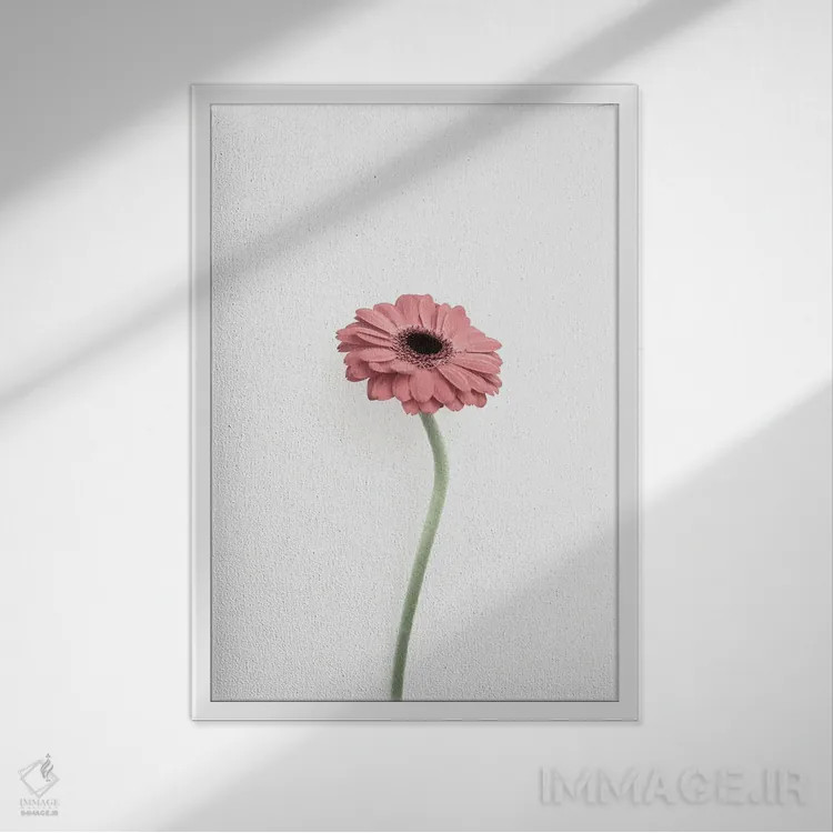 تابلو دکوراتیو گل اثر سیسی و سب - نمای قابدار سفید