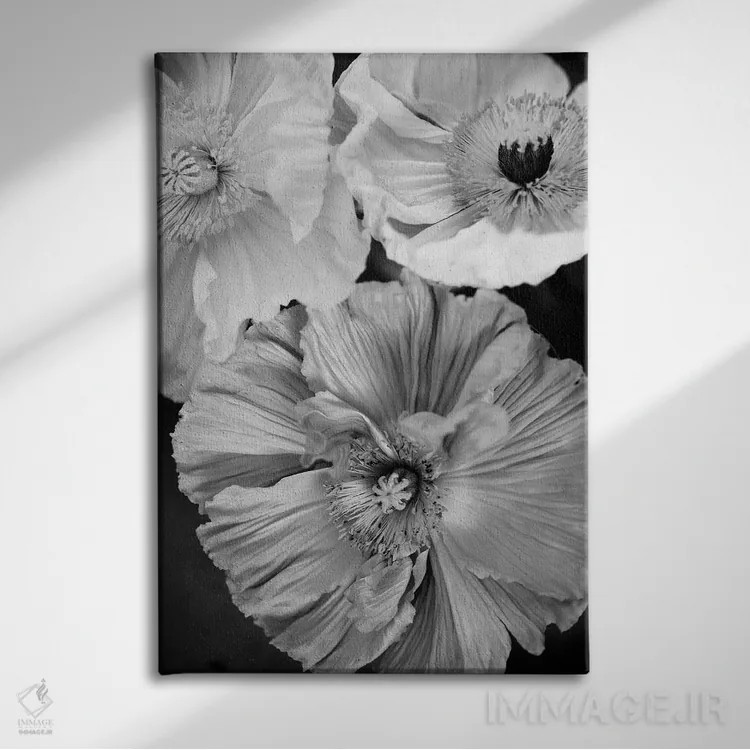 تابلو دکوراتیو شقایق ایسلندی اثر سیسی و سب - نمای روبهرو روی دیوار