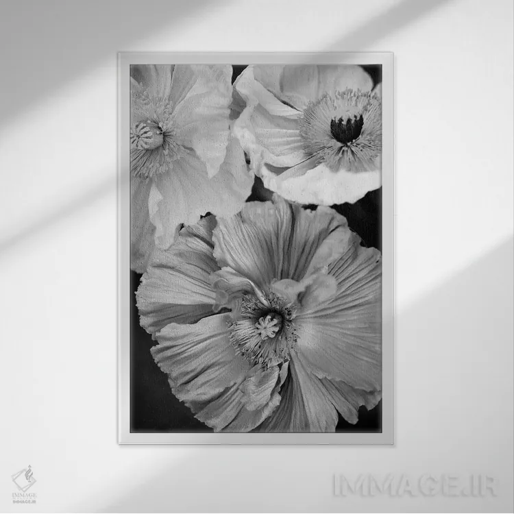 تابلو دکوراتیو شقایق ایسلندی اثر سیسی و سب - نمای قابدار سفید