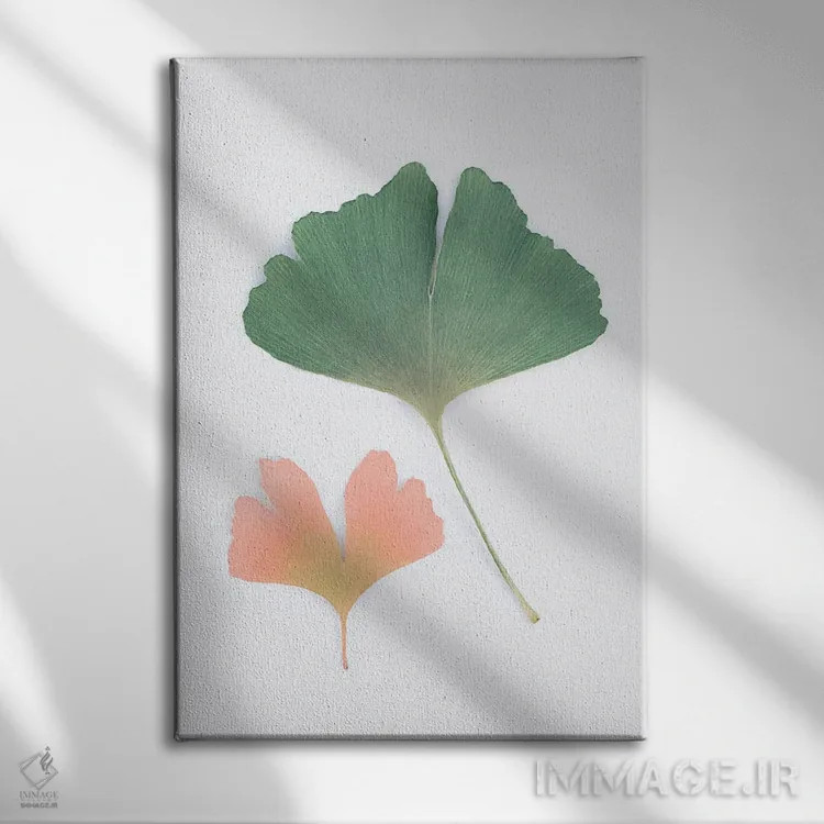 تابلو مینیمال جینکو اثر سیسی و سب - نمای روبهرو روی دیوار