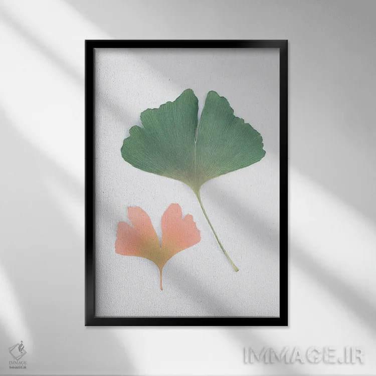 تابلو مینیمال جینکو اثر سیسی و سب - نمای قابدار مشکی