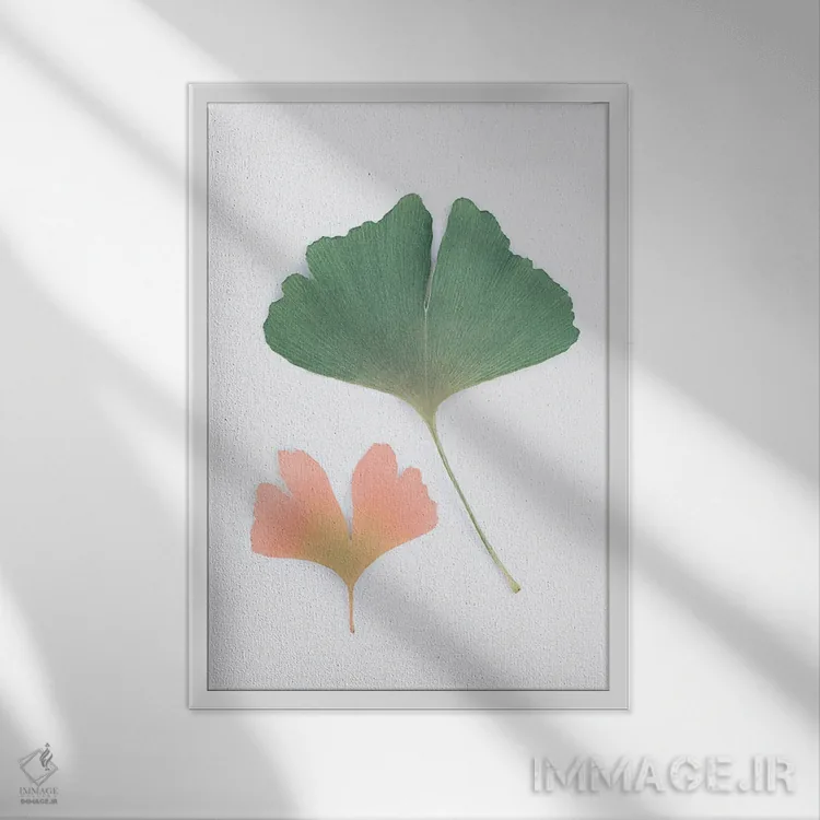تابلو مینیمال جینکو اثر سیسی و سب - نمای قابدار سفید