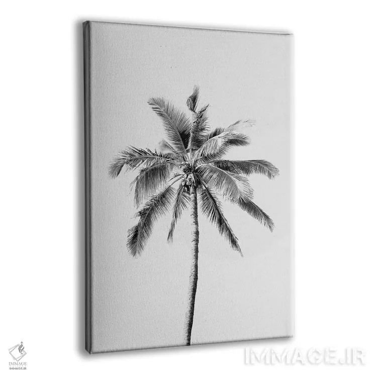 تابلو مینیمال نخل مشکی اثر سیسی و سب - نمای پرسپکتیو محصول