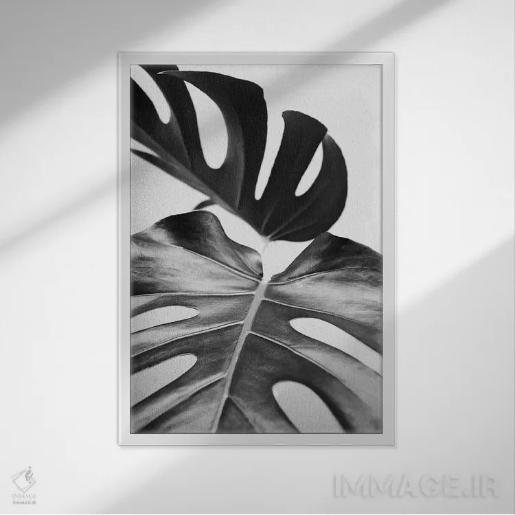 تابلو مینیمال گرمسیری مشکی اثر سیسی و سب - نمای قابدار سفید