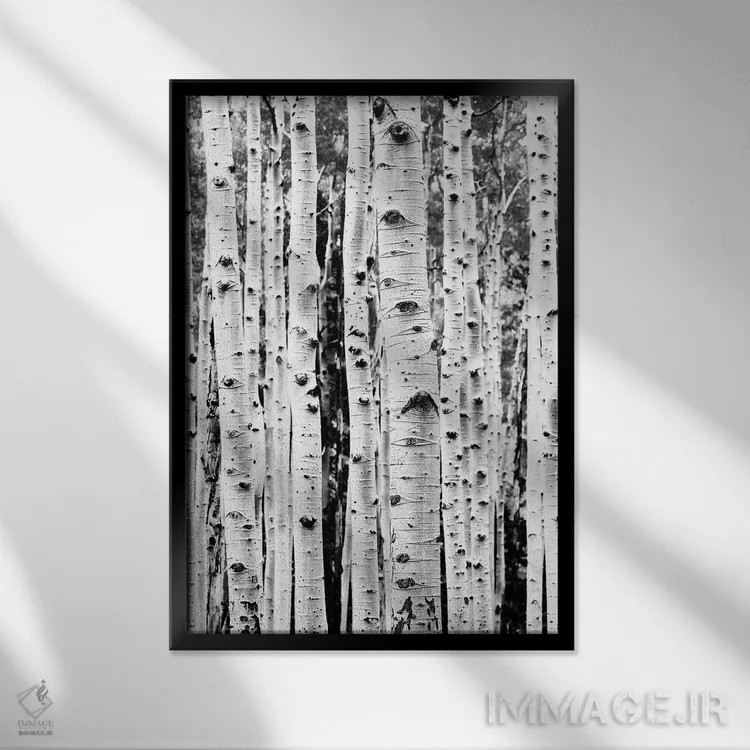 تابلو دکوراتیو توس سیاه و سفید اثر سیسی و سب - نمای قابدار مشکی