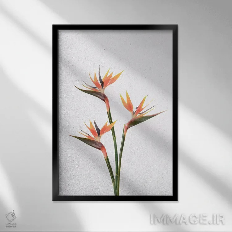 تابلو مینیمال پرندگان بهشتی اثر سیسی و سب - نمای قابدار مشکی