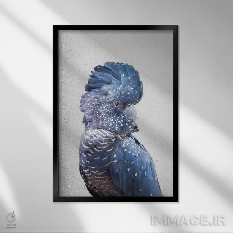 تابلو دکوراتیو کاکاتوی سیاه اثر سیسی و سب - نمای قابدار مشکی