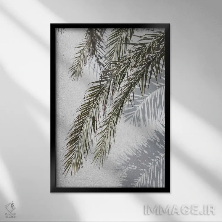 تابلو مینیمال نخل و سایه اثر سیسی و سب - نمای قابدار مشکی