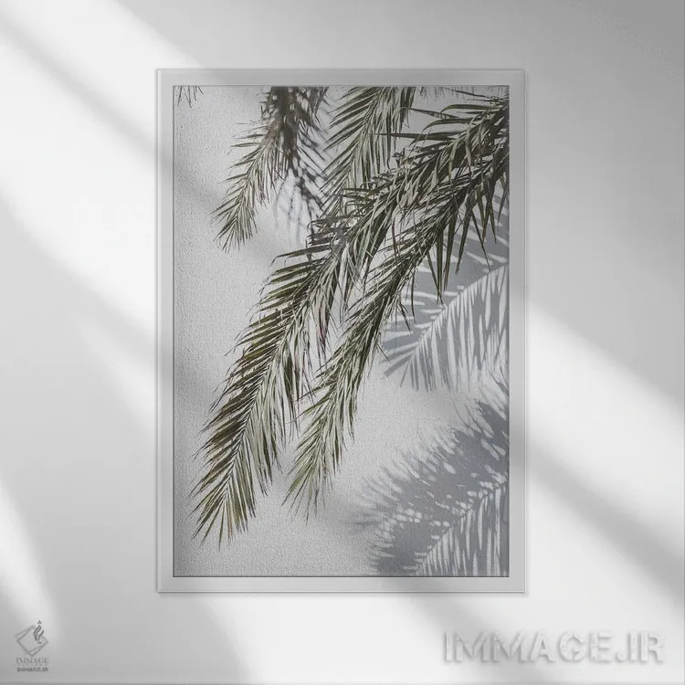 تابلو مینیمال نخل و سایه اثر سیسی و سب - نمای قابدار سفید