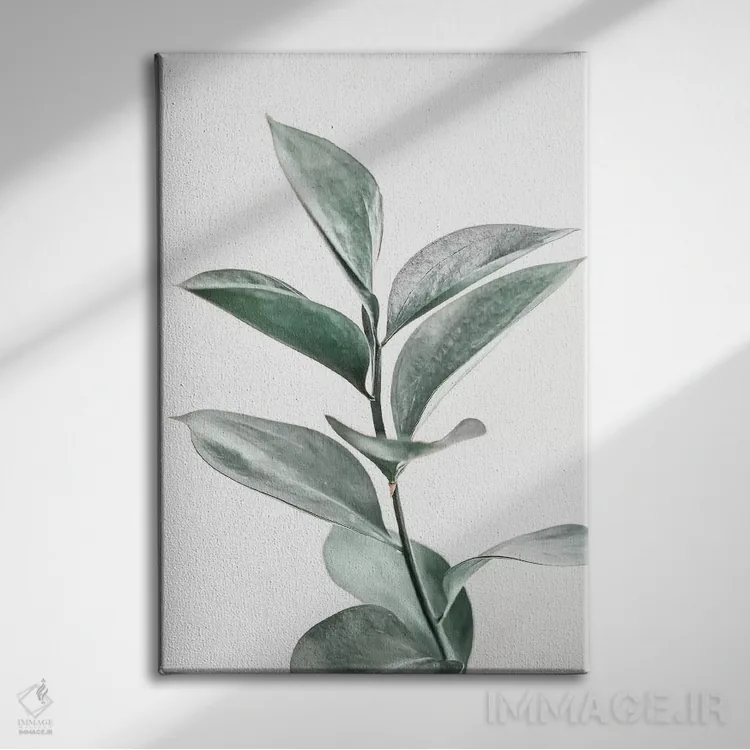 تابلو مینیمال صورتی گیاهی اثر سیسی و سب - نمای روبهرو روی دیوار