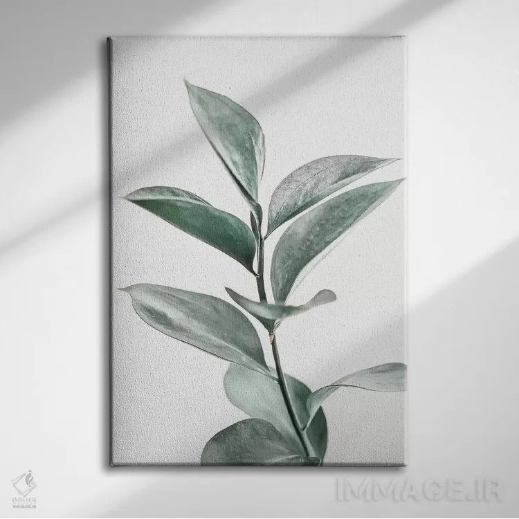 تابلو مینیمال صورتی گیاهی اثر سیسی و سب - نمای روبهرو روی دیوار
