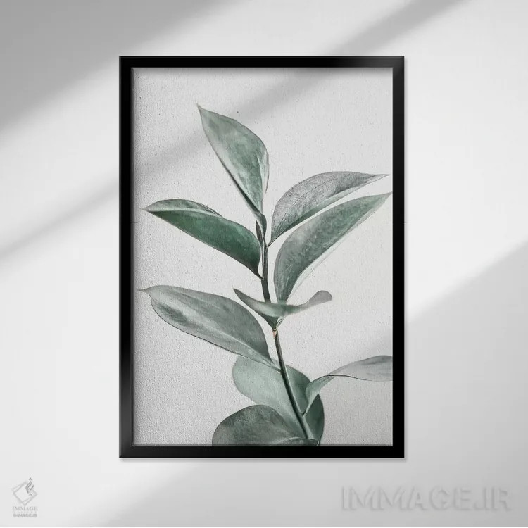 تابلو مینیمال صورتی گیاهی اثر سیسی و سب - نمای قابدار مشکی