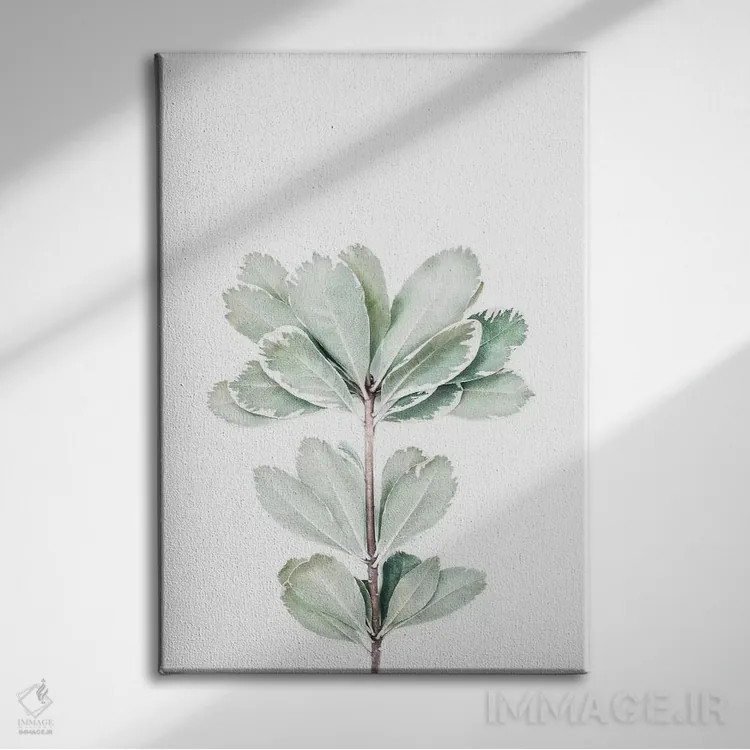 تابلو مینیمال گیاهی II اثر سیسی و سب - نمای روبهرو روی دیوار