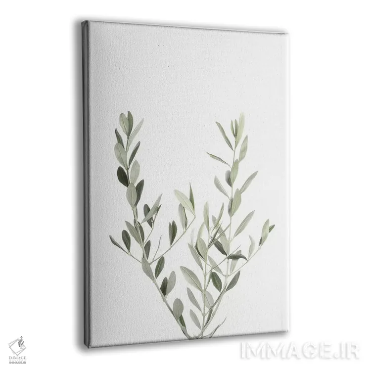 تابلو مینیمال گیاهی III اثر سیسی و سب - نمای پرسپکتیو محصول