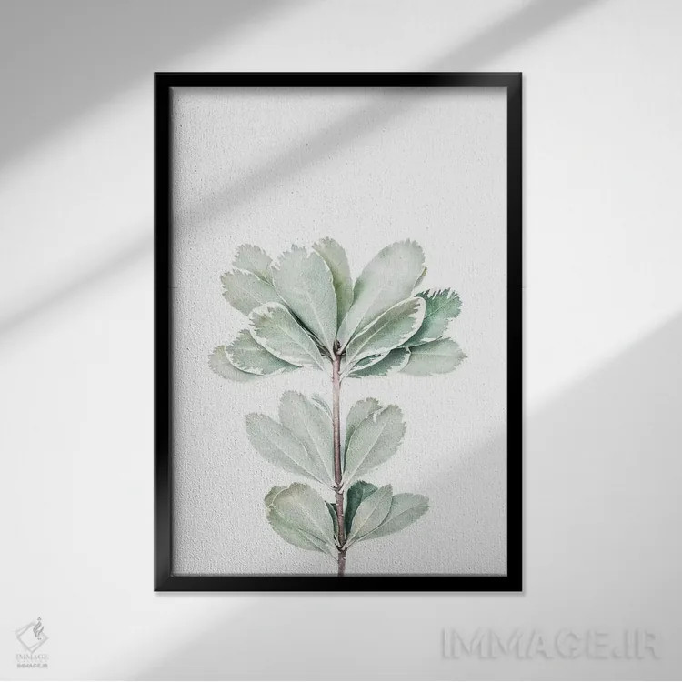 تابلو مینیمال گیاهی II اثر سیسی و سب - نمای قابدار مشکی
