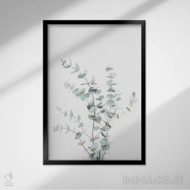 تابلو مینیمال گیاهی I اثر سیسی و سب - نمای قابدار مشکی