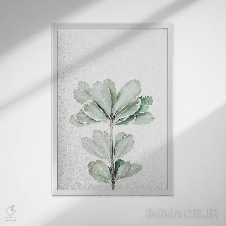 تابلو مینیمال گیاهی II اثر سیسی و سب - نمای قابدار سفید