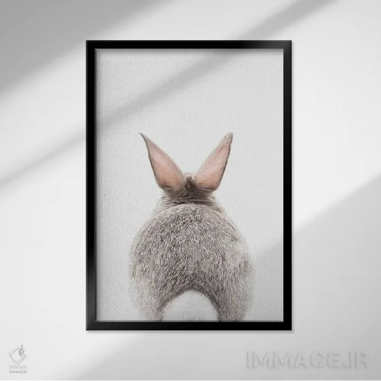 تابلو دکوراتیو قصه خرگوش اثر سیسی و سب - نمای قابدار مشکی