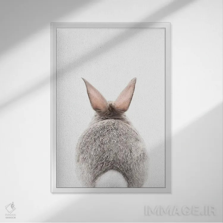 تابلو دکوراتیو قصه خرگوش اثر سیسی و سب - نمای قابدار سفید