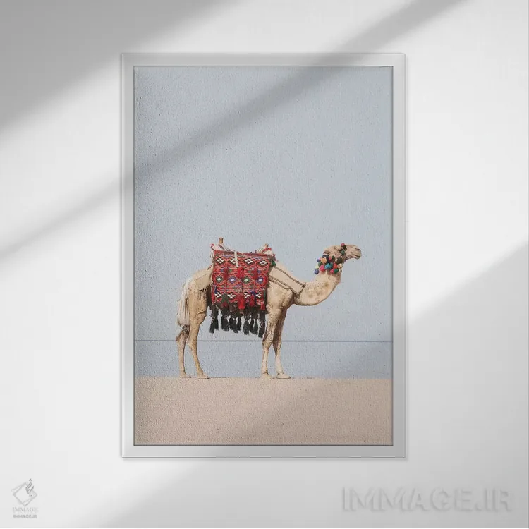 تابلو دکوراتیو شتر در بیابان اثر سیسی و سب - نمای قابدار سفید