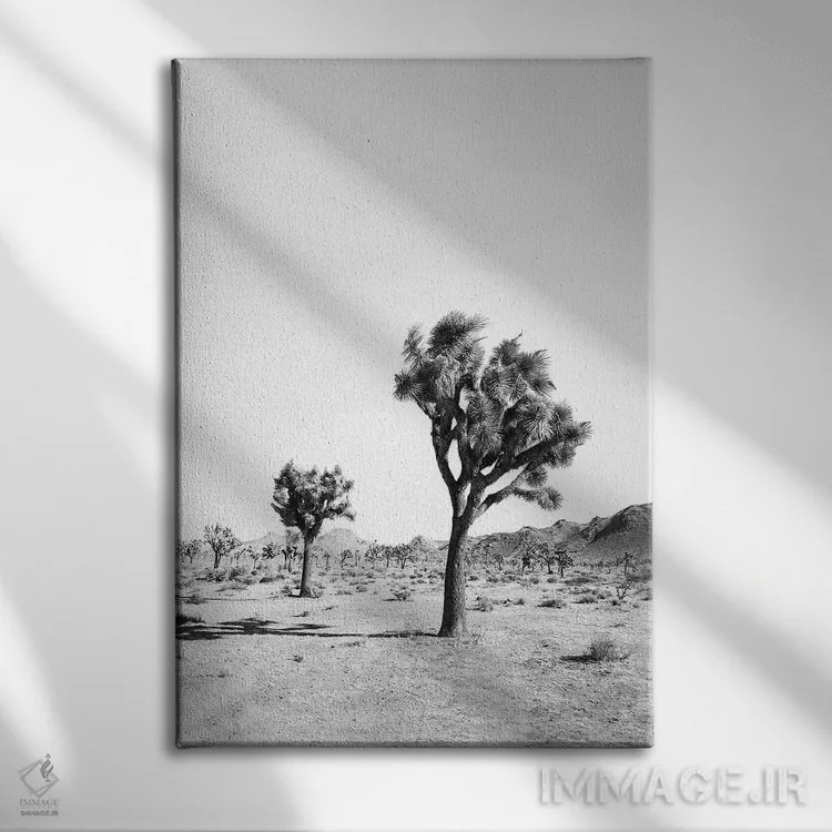 تابلو دکوراتیو درخت بیابانی سیاه و سفید اثر سیسی و سب - نمای روبهرو روی دیوار