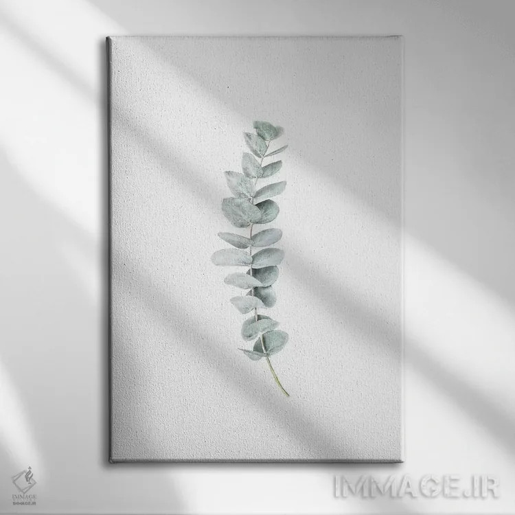 تابلو مینیمال اکالیپتوس یک اثر سیسی و سب - نمای روبهرو روی دیوار