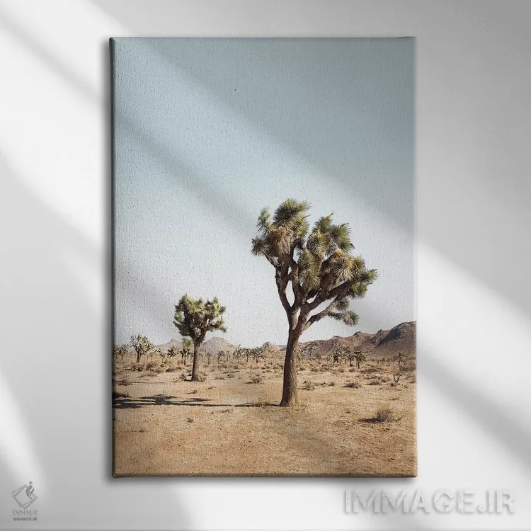 تابلو دکوراتیو درخت بیابانی اثر سیسی و سب - نمای روبهرو روی دیوار